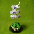 Orchidej (pernkov kvtin a marcipnov orchidej)