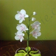 Orchidej 2 (pernkov kvtin a marcipnov orchidej)